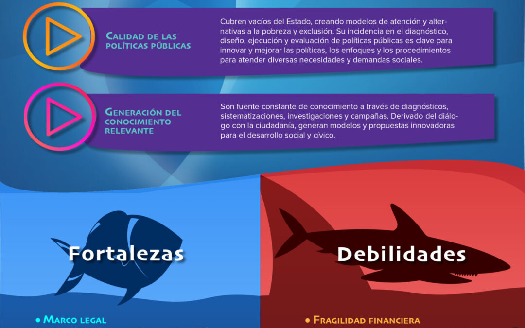 Aportaciones de las OSC a la realidad mexicana